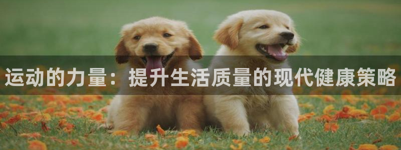 J9官网下载平台注册：运动的力量：提升生活质量的现代