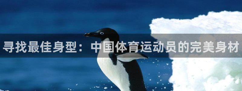 J9官网下载平台是正规平台吗：寻找最佳身型：中国体育