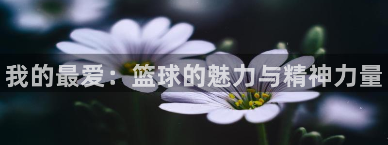 J9官网下载平台注册流程视频：我的最爱：篮球的魅力与