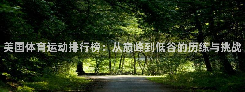 J9官网下载平台是正规平台吗知乎：美国体育运动排行榜