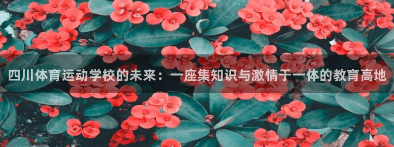 J9官方正版app娱乐下载：四川体育运动学校的未来：