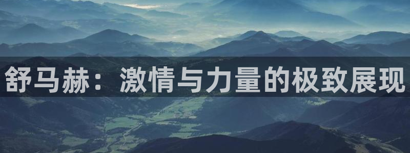 J9官方正版app娱乐：舒马赫：激情与力量的极致展现