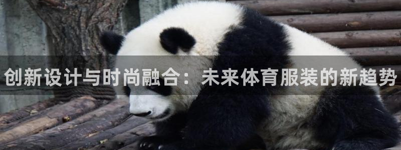 J9官方平台体育：创新设计与时尚融合：未来体育服装的