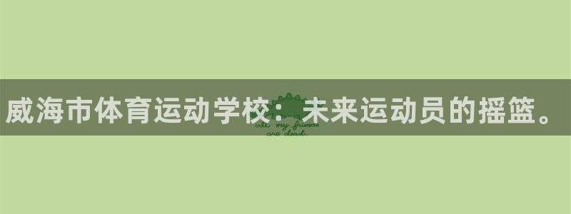 J9官网下载官方客服电话：威海市体育运动学校：未来运