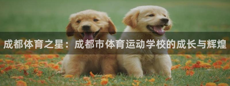 J9官方正版app集团：成都体育之星：成都市体育运动