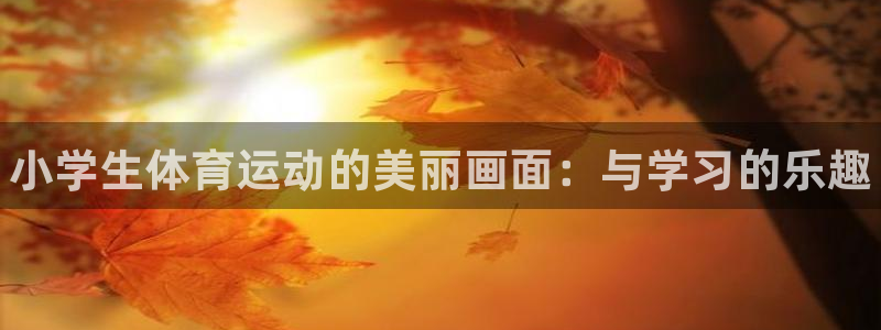J9官网下载平台注册要钱吗：小学生体育运动的美丽画面