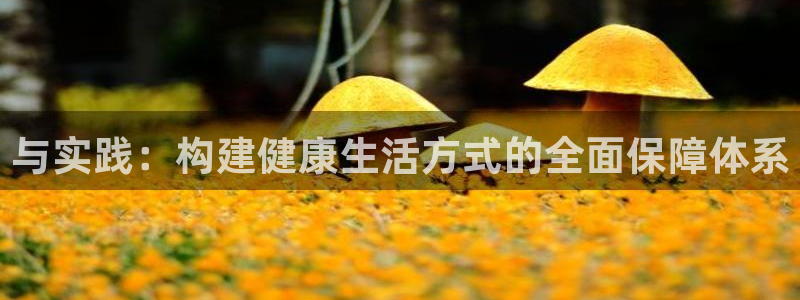 J9官方正版app娱乐代理怎么样：与实践：构建健康生