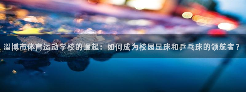 J9官方正版app代理：淄博市体育运动学校的崛起：如