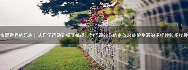 J9官网下载招商：体育世界的乐趣：从日常运动到极限挑
