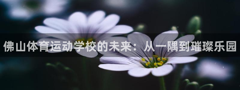 J9官方正版app集团：佛山体育运动学校的未来：从一