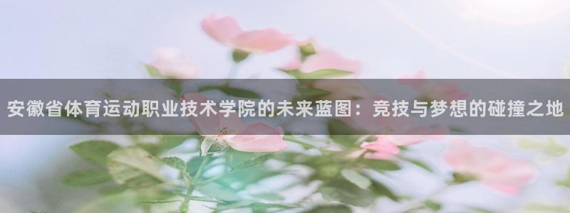 J9官网下载平台注册要钱吗安全吗：安徽省体育运动职业