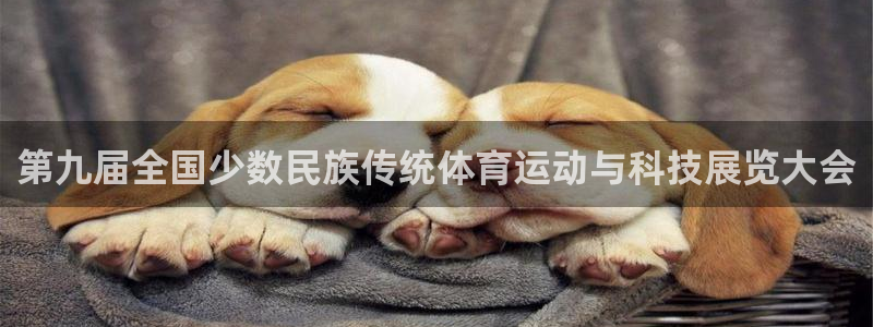 J9官网下载娱乐：第九届全国少数民族传统体育运动与科