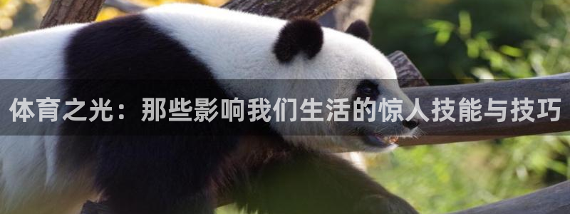 德国J9官方正版app集团：体育之光：那些影响我们生