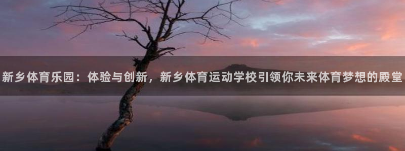 J9官方平台体育：新乡体育乐园：体验与创新，新乡体育