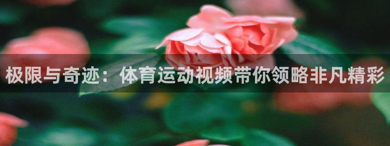 J9官方正版app娱乐代理怎么样：极限与奇迹：体育运