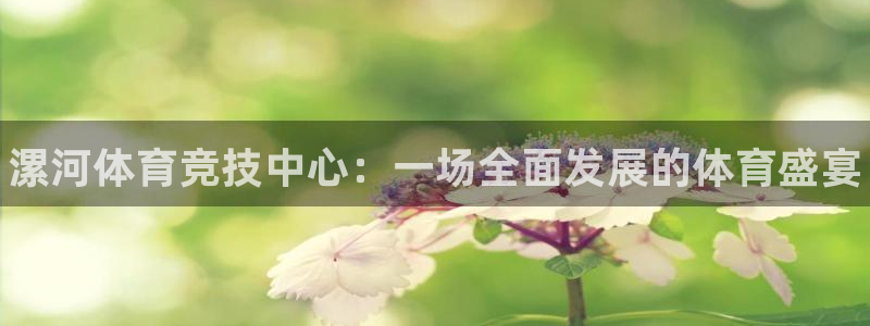 J9官网下载平台：漯河体育竞技中心：一场全面发展的体