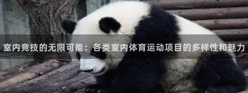 J9官方正版app集团官网网址：室内竞技的无限可能：