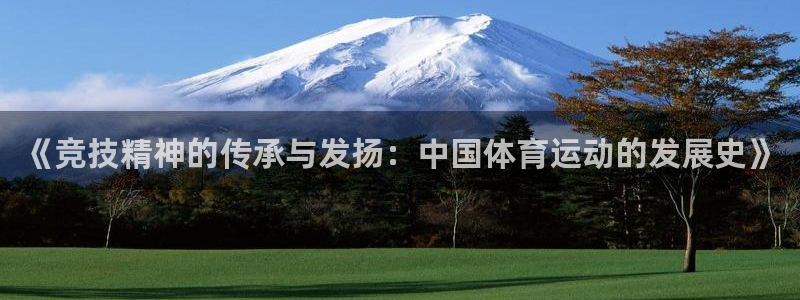 J9官网下载招商电话号码是多少啊：《竞技精神的传承与发扬：中