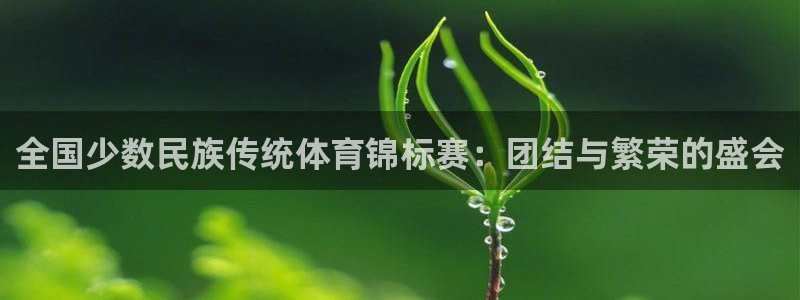 J9官方正版app集团简介