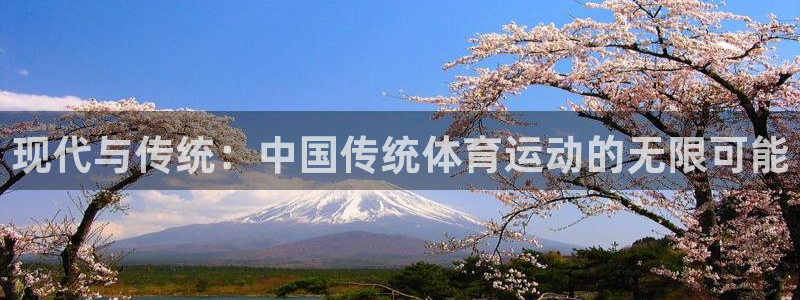 J9官网下载联系电话：现代与传统：中国传统体育运动的无限可能