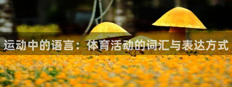 J9官方正版app五金厂