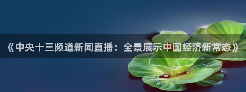 绿茵直播：《中央十三频道新闻直播：全景展示中国经济新常态》