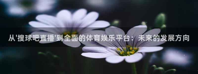 绿茵直播体育在线观看高清：从\'搜球吧直播\'到全面的体育娱乐平台：未来的发展方向