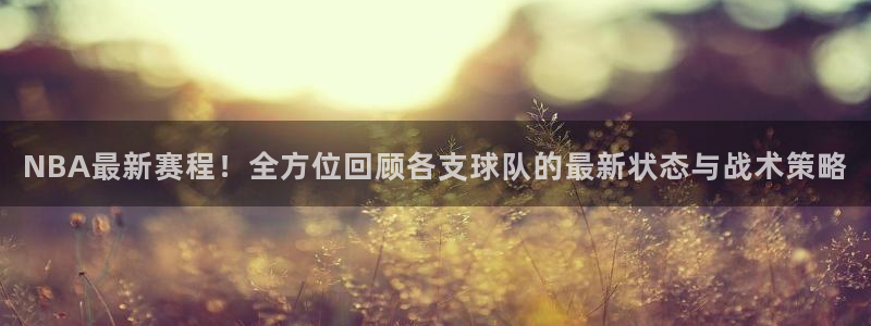 绿茵直播体育下载：NBA最新赛程！全方位回顾各支球队的最新状态与战术策略