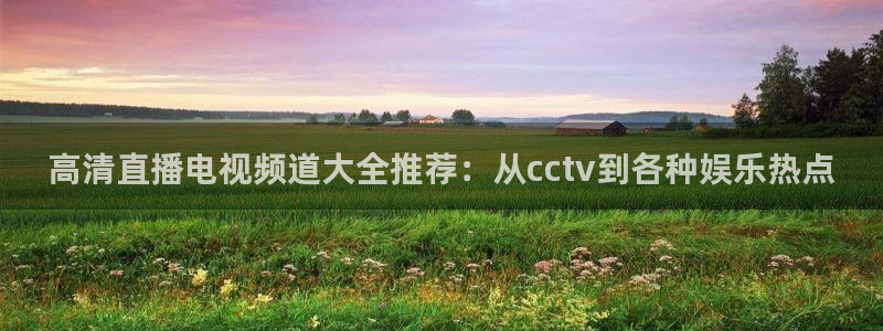 绿茵体育live直播：高清直播电视频道大全推荐：从cctv到各种娱乐热点
