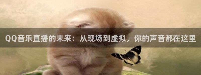 绿茵直播足球比赛在线观看：QQ音乐直播的未来：从现场到虚拟，你的声音都在这里