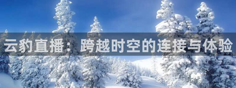 绿茵直播下载：云豹直播：跨越时空的连接与体验