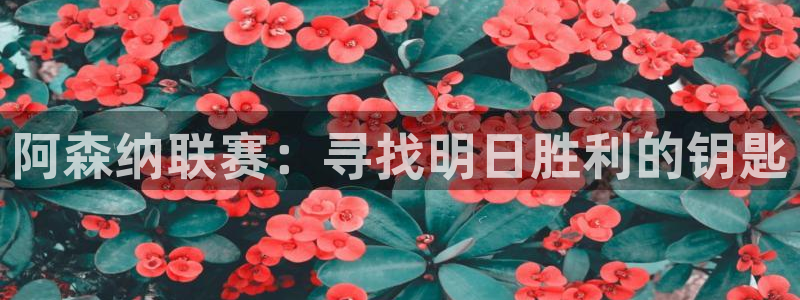 绿茵体育在线直播：阿森纳联赛：寻找明日胜利的钥匙