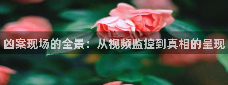 绿茵直播体育在线观看免费