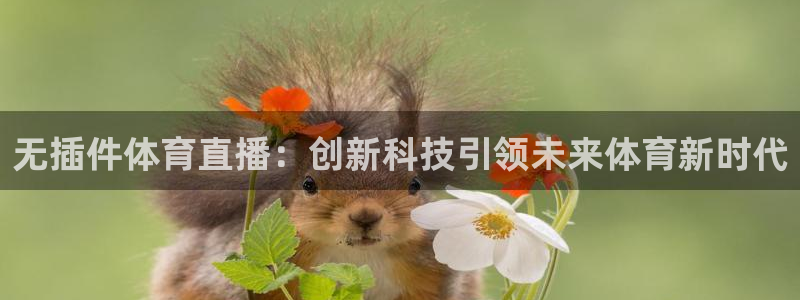 绿茵体育直播官网下载：无插件体育直播：创新科技引领未来体育新时代