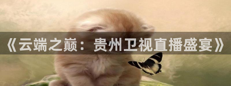 绿茵直播足球直播网：《云端之巅：贵州卫视直播盛宴》